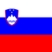 Slovenia Flag